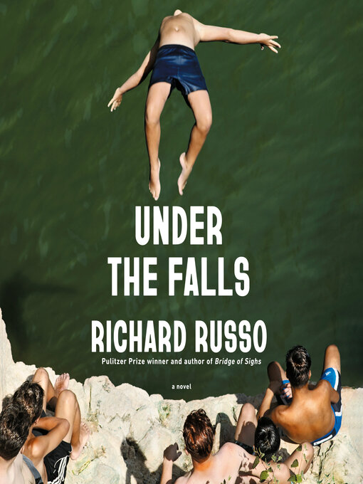 Cover image for Under the Falls